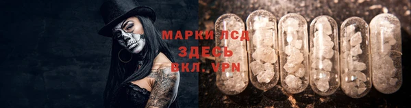 Альфа ПВП Аркадак