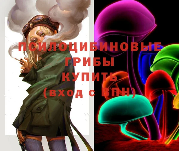 Альфа ПВП Аркадак